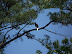 Jamestown Settlement in May