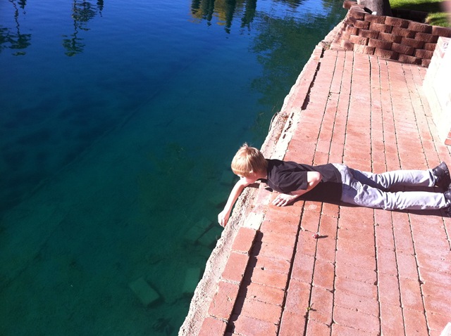 [IMG_3130%255B1%255D.jpg]