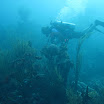  Scuba Dive Buck Island Reef