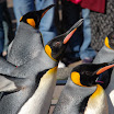 hokkaido_341.jpg