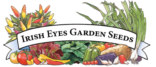 The invoice says it's from a company called Irish Eyes Garden Seeds.  I guess they just recycled the soup box.  I wonder what they sent?