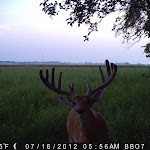 PICT0103.JPG