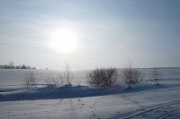 P1090999.JPG Photo