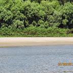 IMG_5535.JPG
