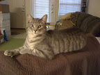 02-07-11_0822.jpg