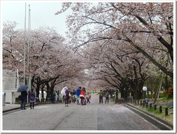 2013OsakaTrip_Day2_26