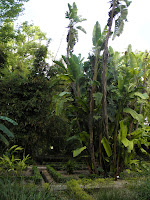 P5280752.JPG