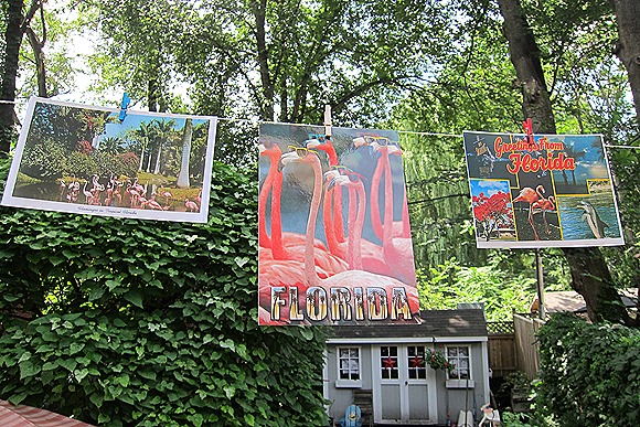 IMG_5948 IMG_5948
