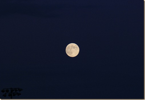 IMG_7018 IMG_7018
