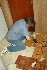 the floor 005 the floor 005