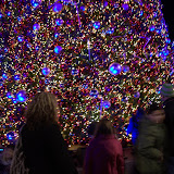 National Harbor Day after Thanksgiving