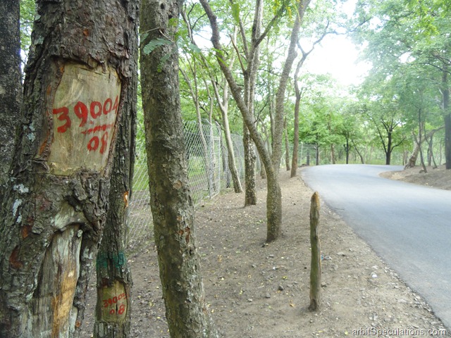 [AmazingKeralatripday3132.jpg]