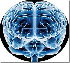 inteligencia inteligencia