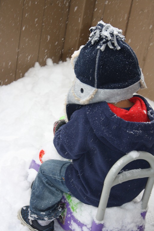 [firstsnowwinter11%2520089%255B5%255D.jpg]