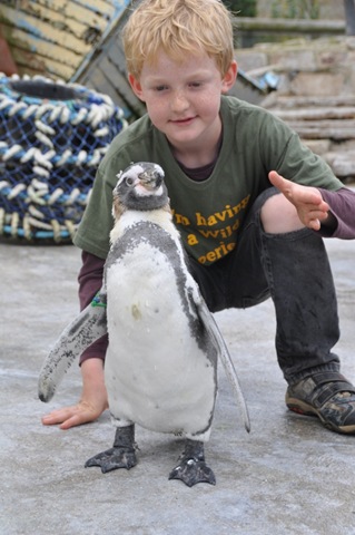 [DSC_0611%255B9%255D.jpg]