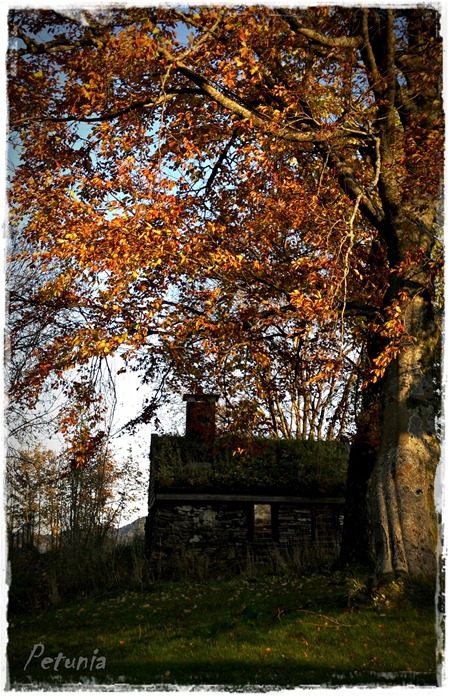 Oktober 2011 3
