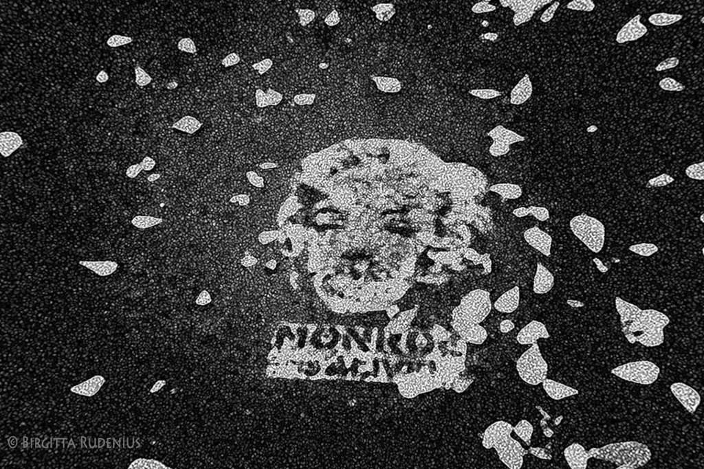 [bw_20111127_monroe%255B2%255D.jpg]