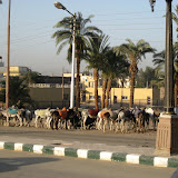 Egypt - Luxor - Valley of the Kings
