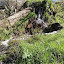 percurso Soalh_es 083.JPG