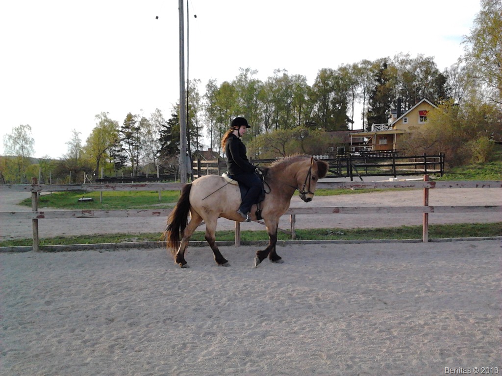 [2013-05-12%252019.35.55%255B6%255D.jpg]