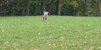 They stopped and stared at each other.