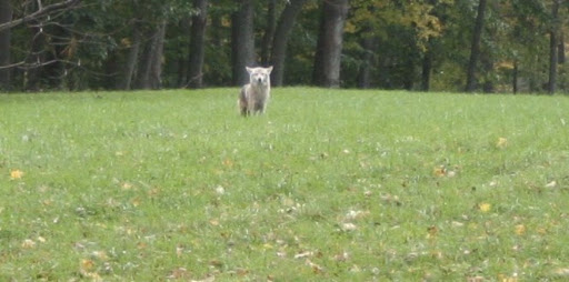 They stopped and stared at each other.
