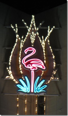 IMG_0619 IMG_0619