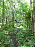 sd530808_20090329_1839714954.jpg