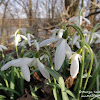 dsc06956.jpg