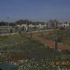 DSCN0979.jpg