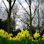 DSCN5209.JPG