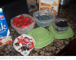 'Produce Saver & Berries' photo (c) 2005, Rubbermaid Products - license: http://creativecommons.org/licenses/by/2.0/