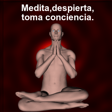 medita