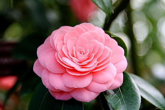 [140ws%255B11%255D.jpg]
