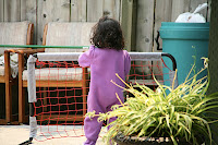 IMG_4222.JPG