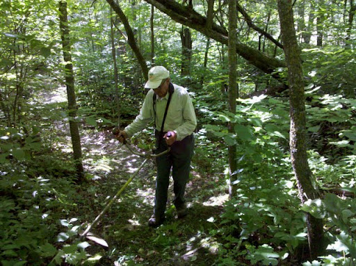 Brushing out the singletrack