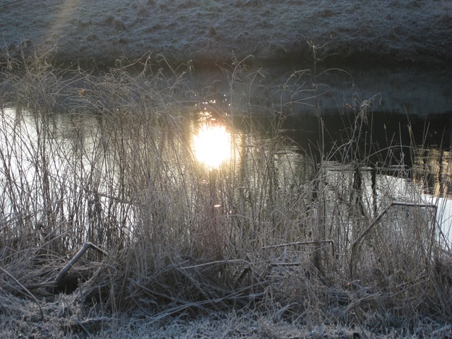 [januarmorgen%2520012%255B3%255D.jpg]