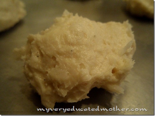 cookie dough for cottage cheese cookies
