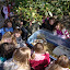 Dieren in de klas