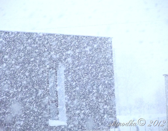 DSCF9099 DSCF9099