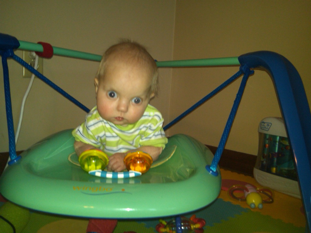[IMG00116-20110317-1828%255B2%255D.jpg]