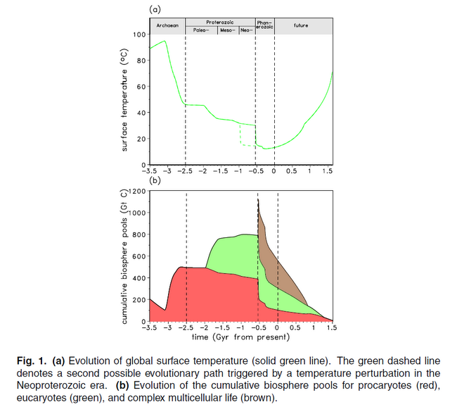 (a) Evolution of global surface temperature (solid green line). The green dashed line denotes a second possible evolutionary path triggered by a temperature perturbation in the Neoproterozoic era. (b) Evolution of the cumulative biosphere pools for procaryotes (red), eucaryotes(green), and complex multicellular life (brown). Franck, et al., 2005