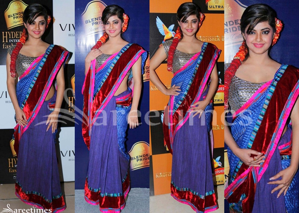 [Meera_Chopra_Saree%255B4%255D.jpg]