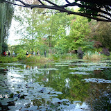 IMAG0789.JPG