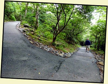 12b - Trail - paved but steep