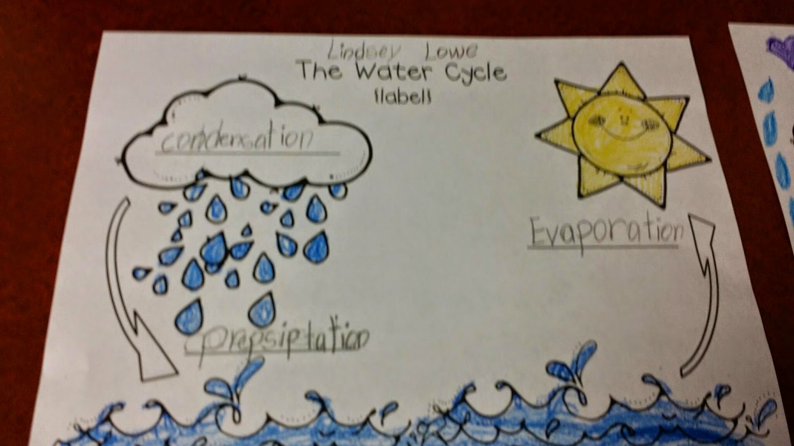 Mrs. Peterson's 1st Grade: The Water Cycle