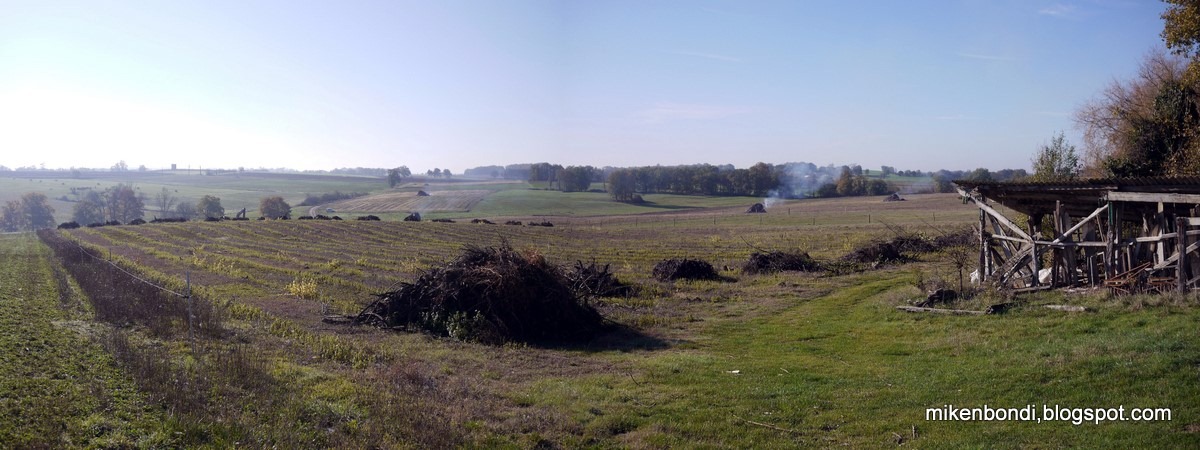 [20111129%2520vineyards%255B6%255D.jpg]