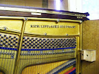 Richard Lipp upright