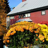 Fall 2011