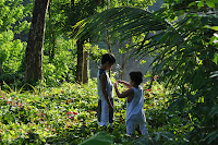 DSC_3262.JPG